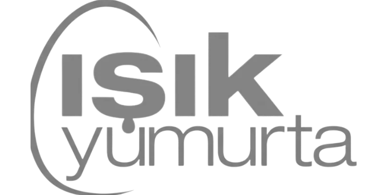 Işık Yumurta