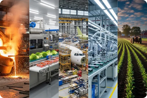 Neye İhtiyacım Var?